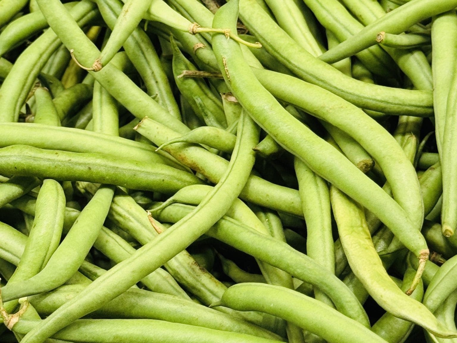 A pile of fresh green French beans