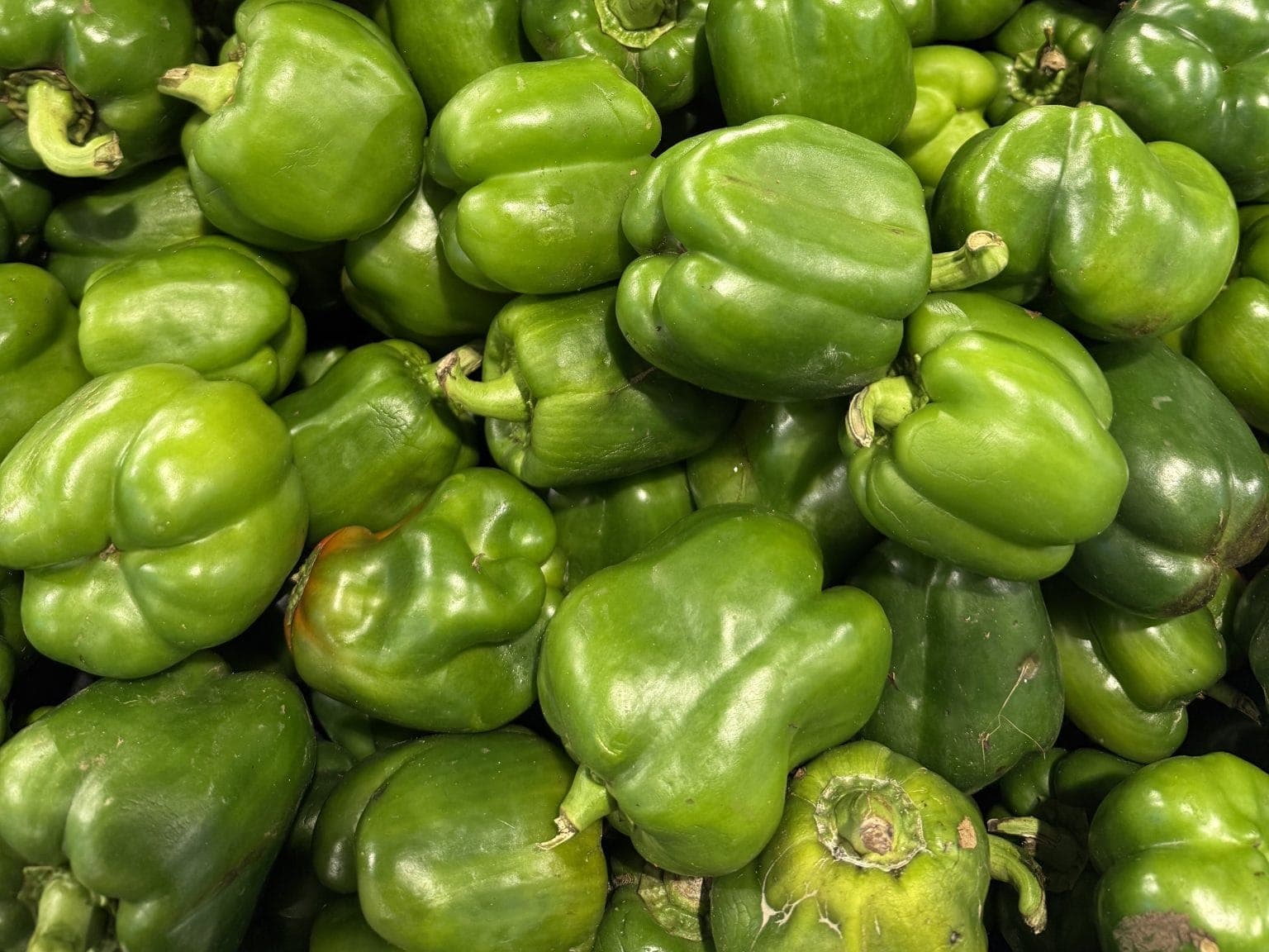 A pile of fresh green capsicum (bell peppers)