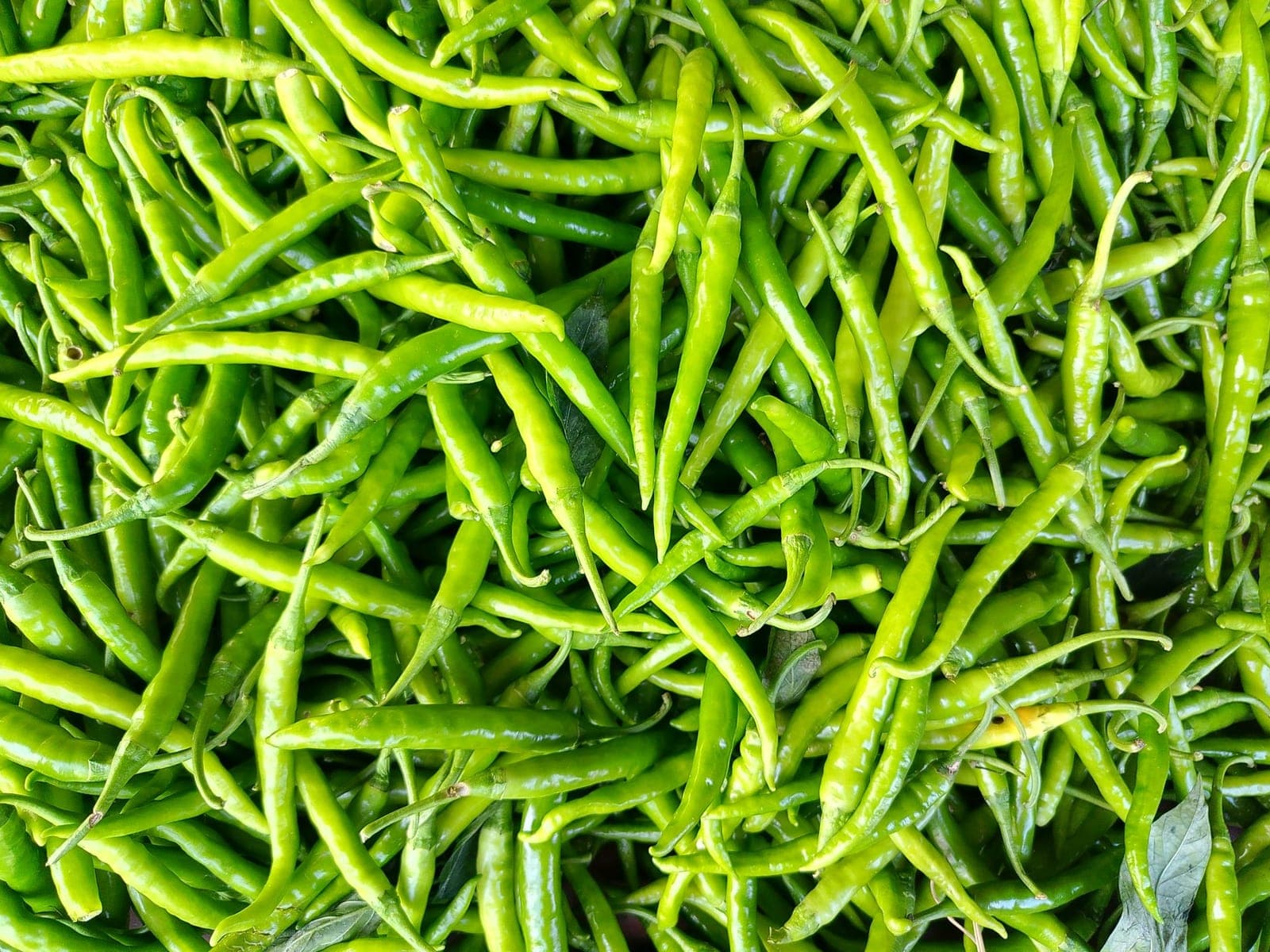 A pile of fresh slender green chillies