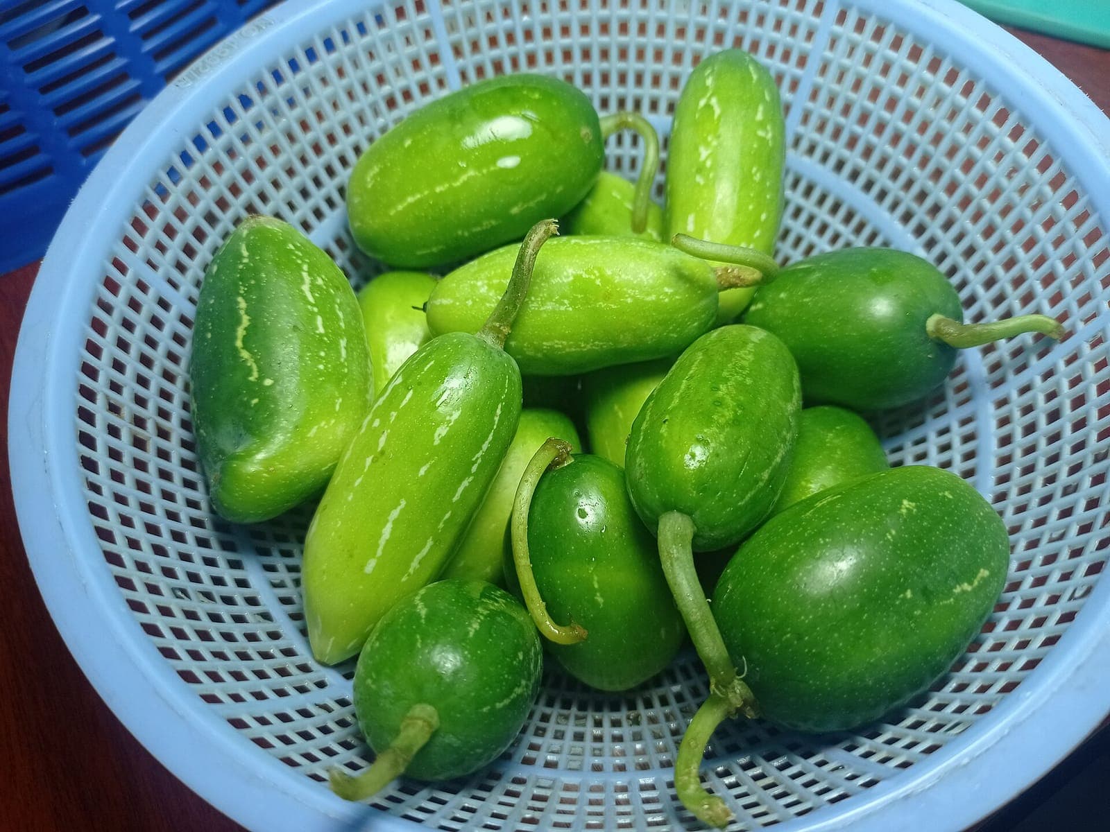 Fresh green ivy gourd (tindora) in a basket