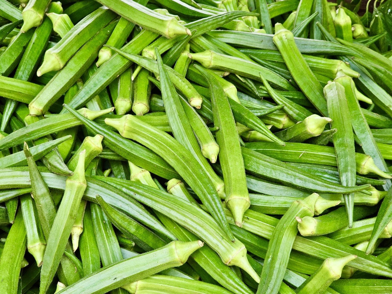 A pile of fresh green okra pods at a market in Kerala